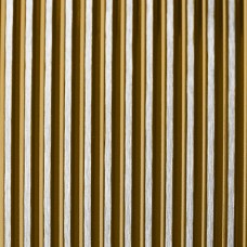 Gold Pinstripe